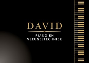 David piano en vleugeltechniek plaats foto